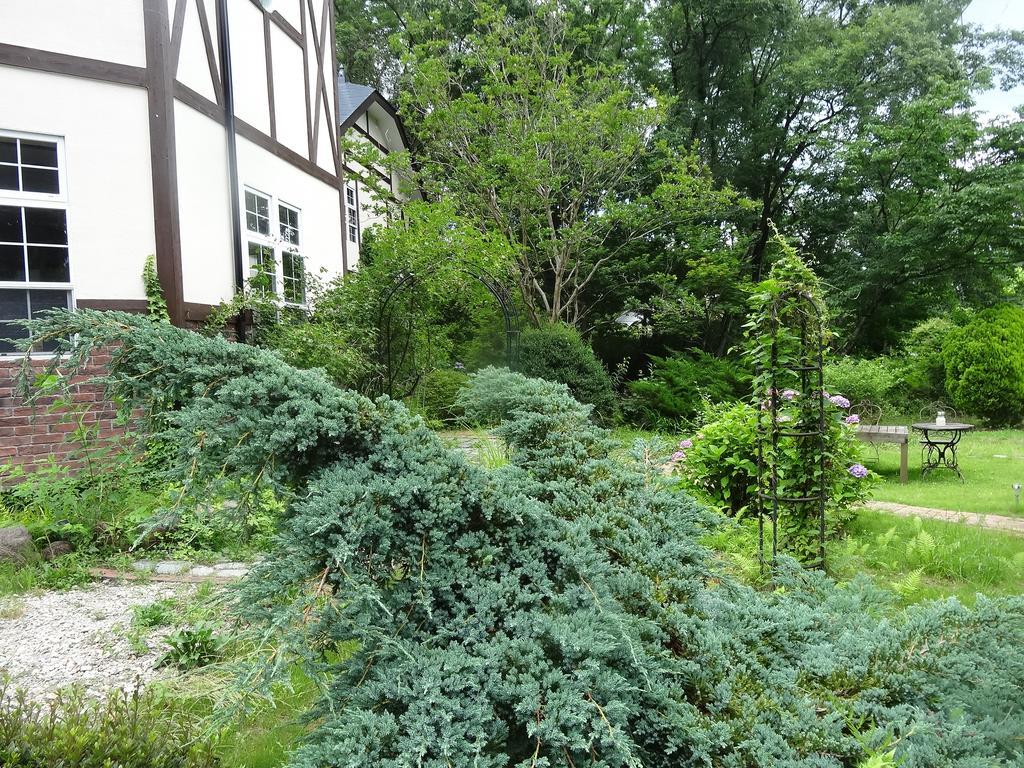Gasthof Arutany นาสุ ภายนอก รูปภาพ