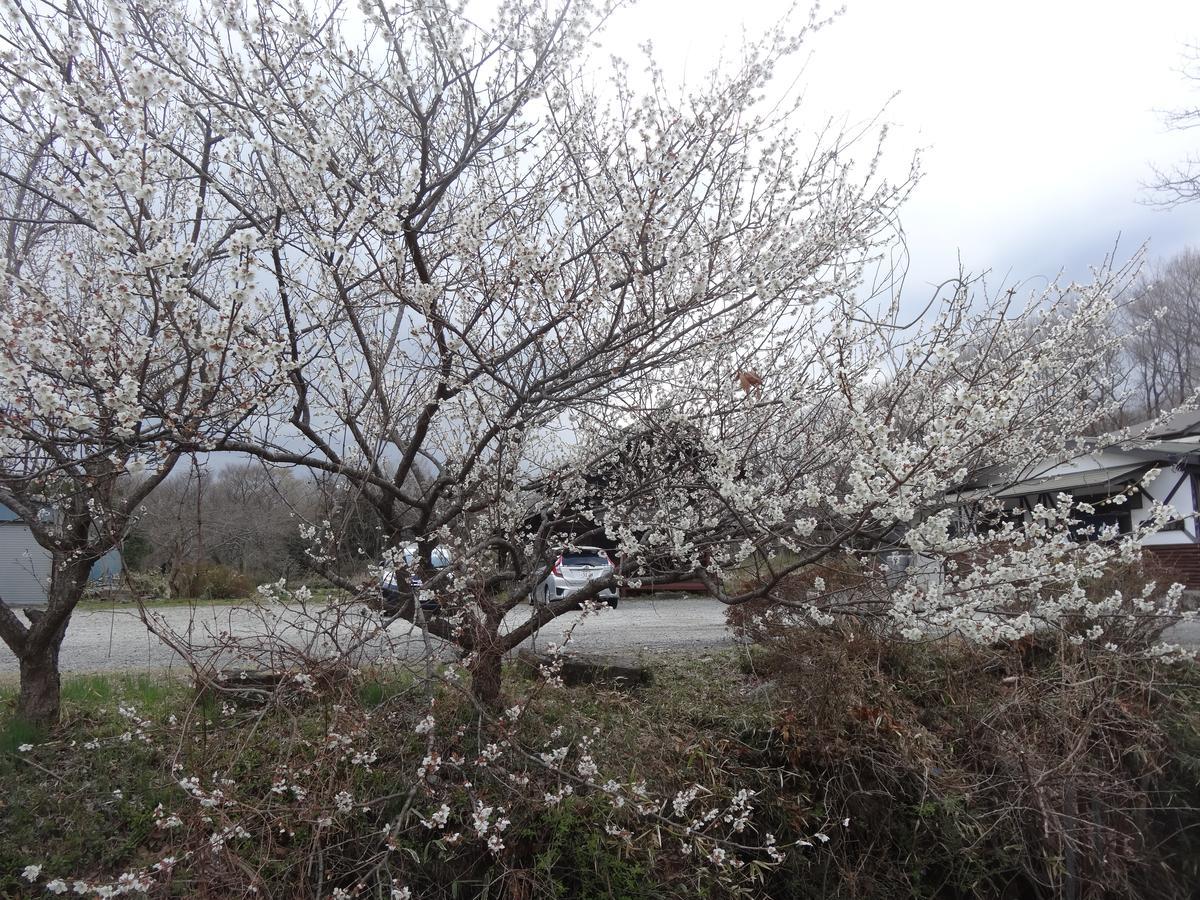 Gasthof Arutany นาสุ ภายนอก รูปภาพ