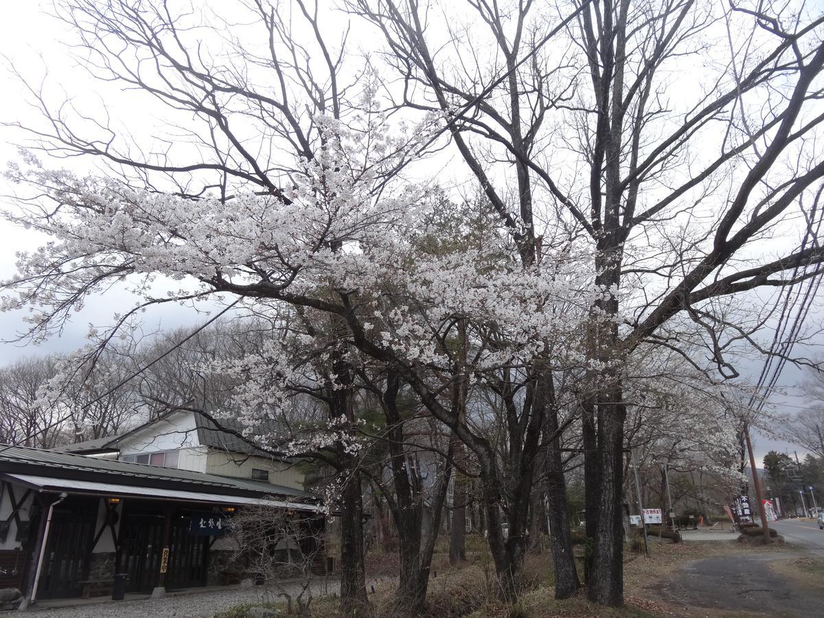 Gasthof Arutany นาสุ ภายนอก รูปภาพ